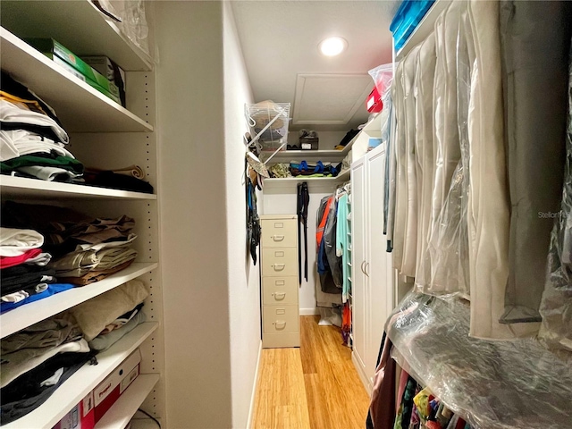 walk in closet with light wood-type flooring