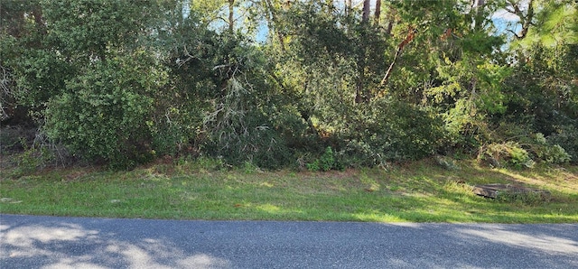 LOT14 Sw 146 Loop 3, Ocala FL, 34473 land for sale