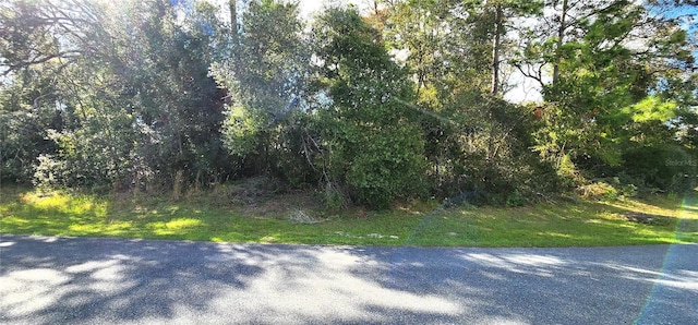 Listing photo 2 for LOT14 Sw 146 Loop 3, Ocala FL 34473