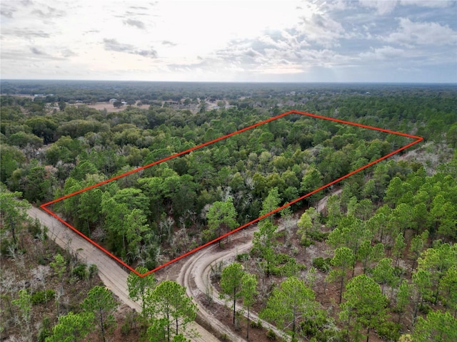 35300-085-00 SW 103rd Ln, Dunnellon FL, 34432 land for sale