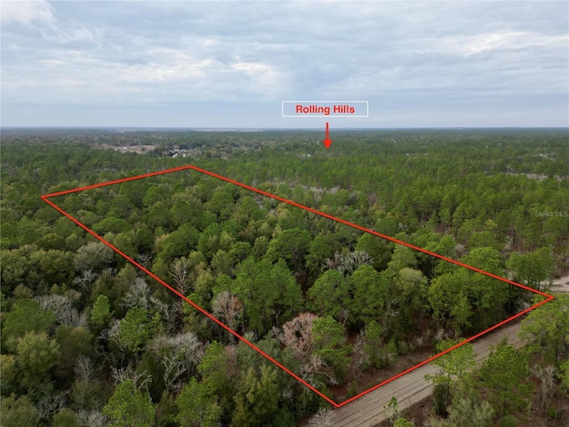 35300-085-00 SW 103rd Ln, Dunnellon FL, 34432 land for sale