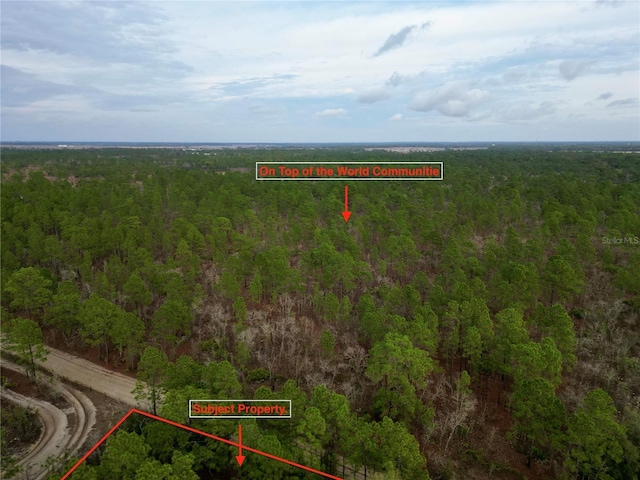 Listing photo 3 for 35300-085-00 SW 103rd Ln, Dunnellon FL 34432