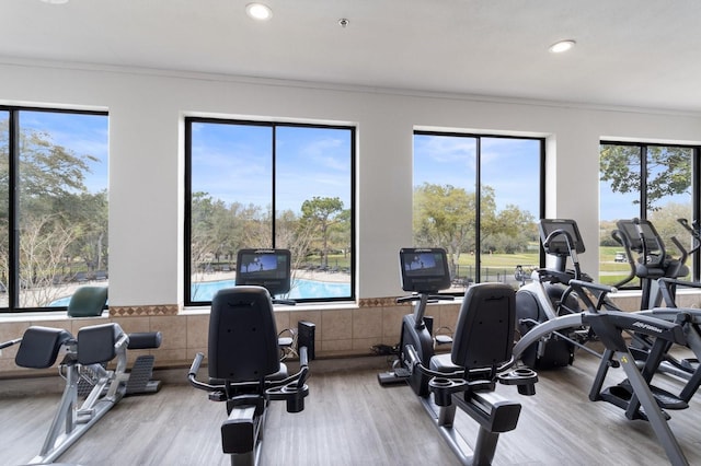 exercise room featuring light hardwood / wood-style floors