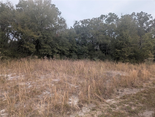 TBD Locust Run, Ocala FL, 34472 land for sale