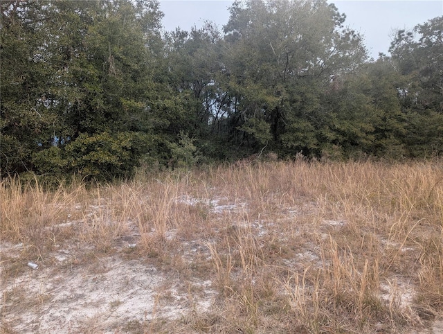 Listing photo 2 for TBD Locust Run, Ocala FL 34472