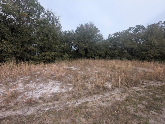 Listing photo 3 for TBD Locust Run, Ocala FL 34472