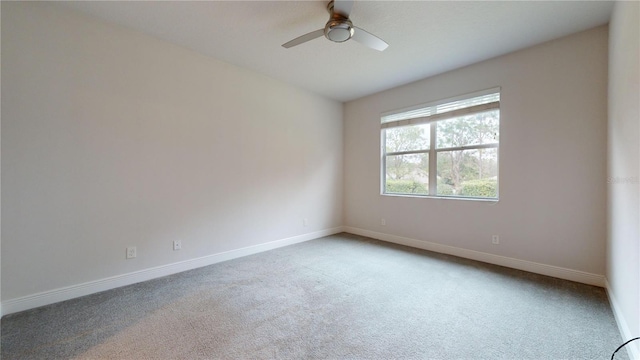 spare room with carpet and ceiling fan