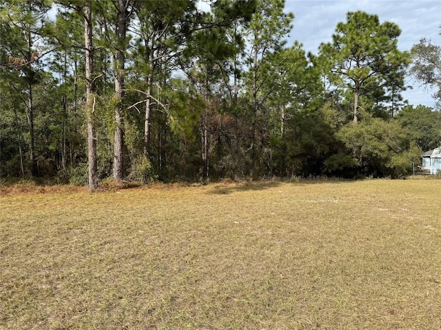 LOT9 SW 61st Avenue Rd, Ocala, FL 34473 - photo 4