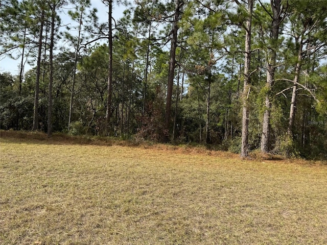 LOT9 SW 61st Avenue Rd, Ocala, FL 34473 - photo 5