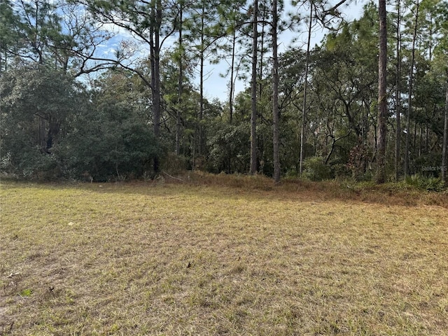 LOT9 SW 61st Avenue Rd, Ocala, FL 34473 - photo 8