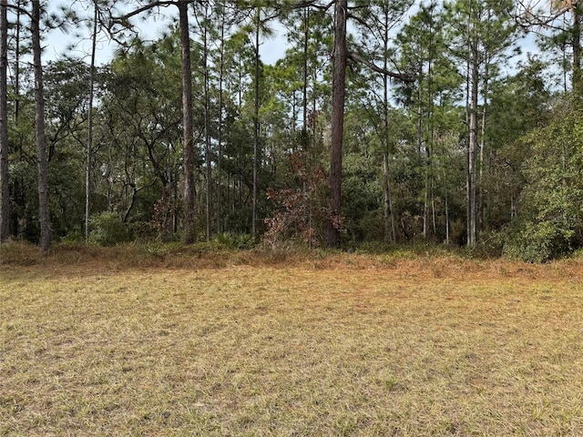 LOT9 SW 61st Avenue Rd, Ocala, FL 34473 - photo 9