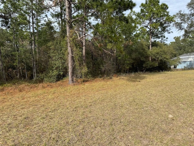 LOT9 SW 61st Avenue Rd, Ocala, FL 34473 - photo 11