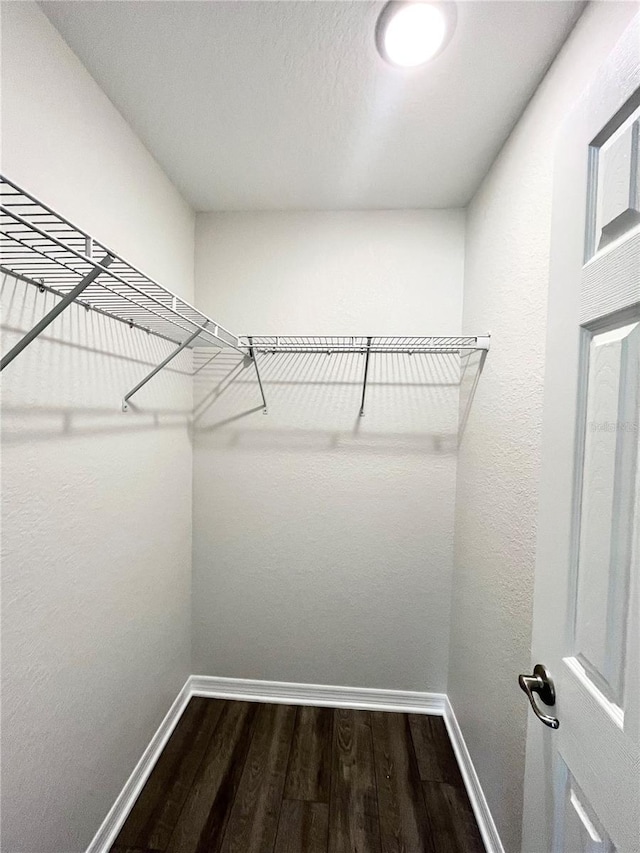 walk in closet featuring hardwood / wood-style floors