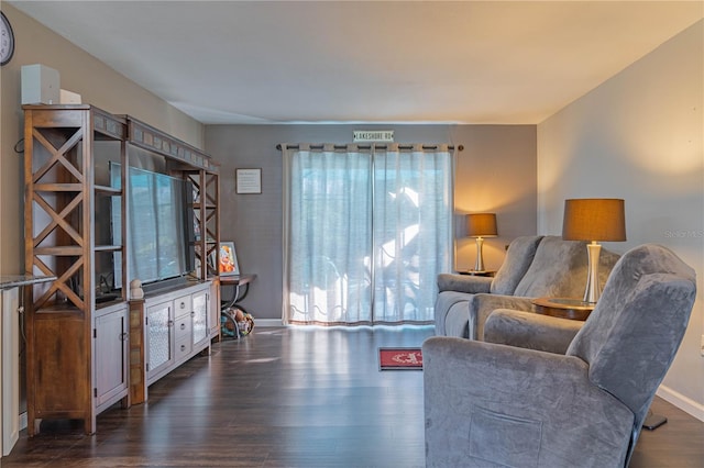 living room featuring dark hardwood / wood-style floors