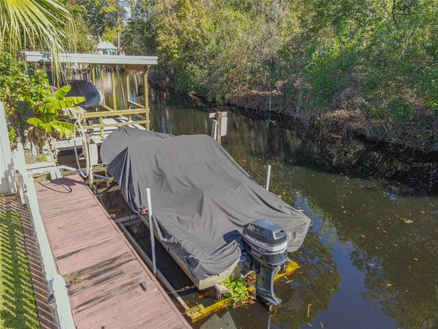 dock area with a water view