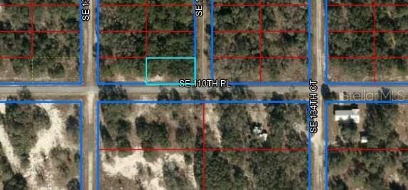 SE 110th Pl, Dunnellon FL, 34431 land for sale