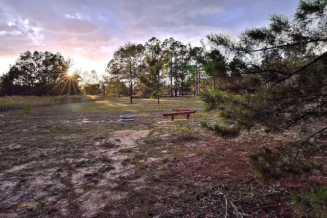 view of yard at dusk