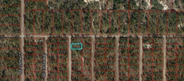 SE 130th Ct, Dunnellon FL, 34431 land for sale