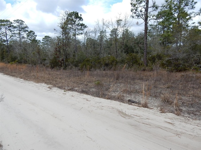 11611 NE 65th Ln, Williston FL, 32696 land for sale