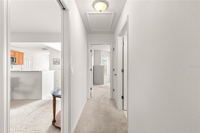 corridor featuring light colored carpet and a textured ceiling