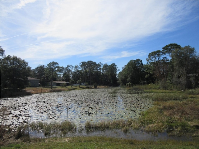 property view of water