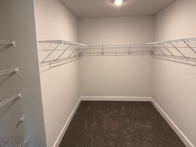 2214 NW 23rd Loop, Ocala, FL 34475 - spacious closet featuring carpet flooring