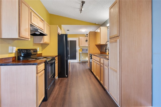 kitchen with lofted ceiling, light brown cabinetry, sink, and black appliances