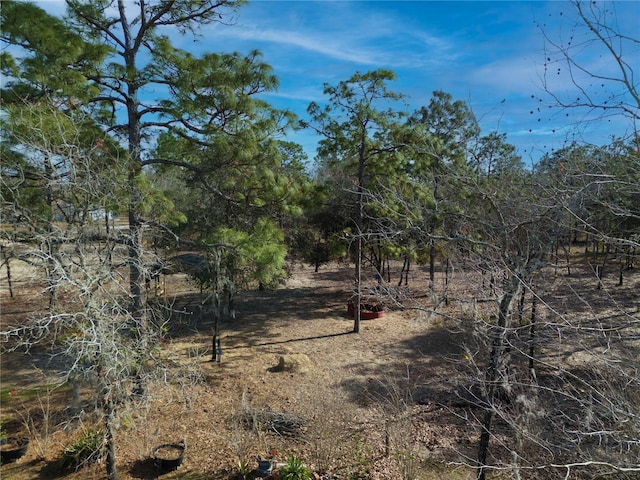 view of landscape