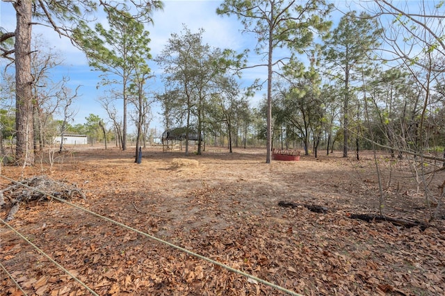 view of yard featuring a rural view