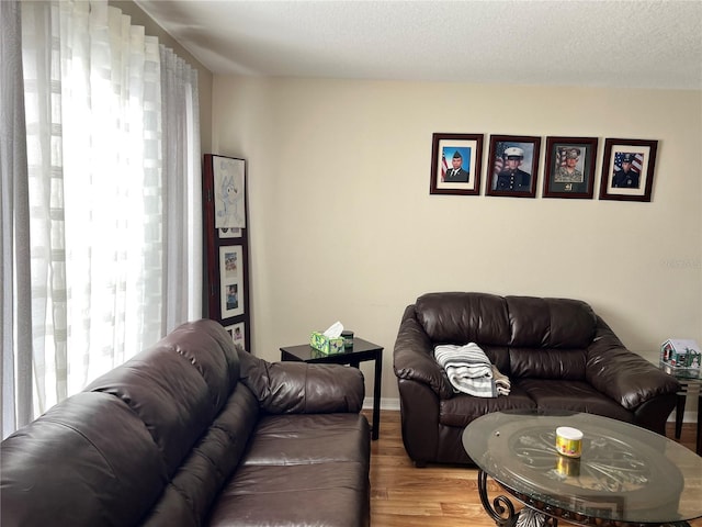 living room featuring hardwood / wood-style flooring, a textured ceiling, and a healthy amount of sunlight