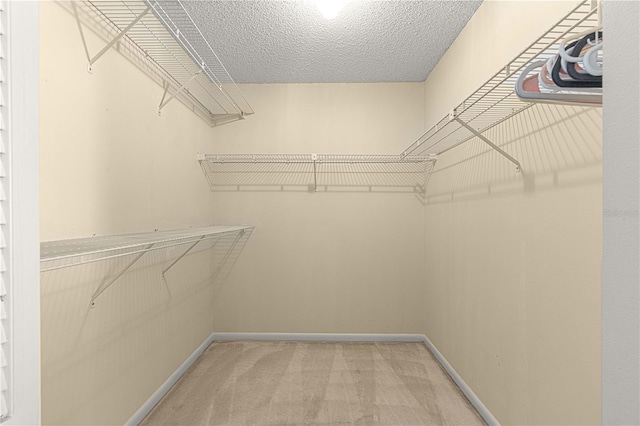 walk in closet featuring carpet floors