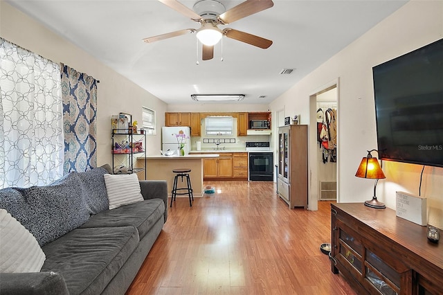 living room featuring ceiling fan, light wood-type flooring, and sink