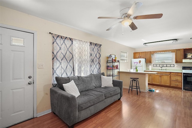 living room with ceiling fan, sink, and hardwood / wood-style floors