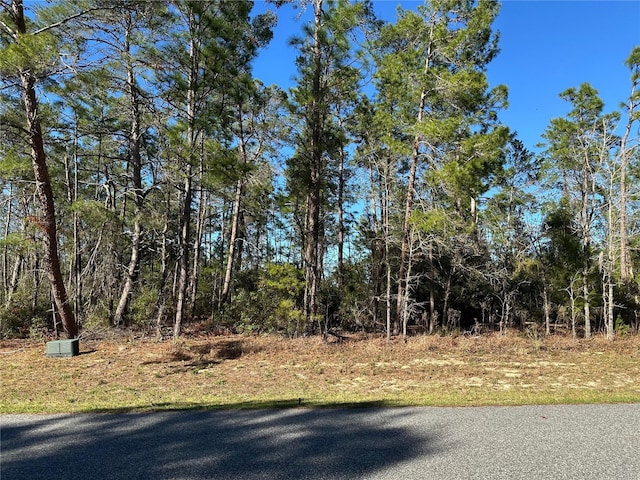 0000 SW 157th St, Ocala FL, 34473 land for sale