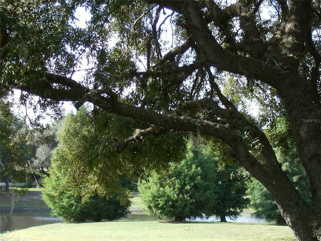 view of property's community featuring a lawn