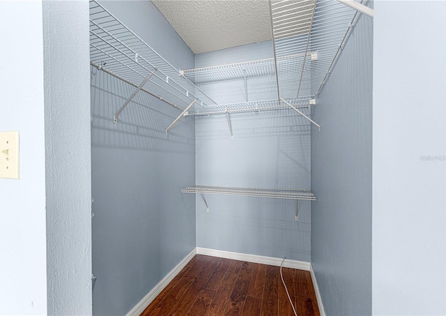 spacious closet with wood-type flooring