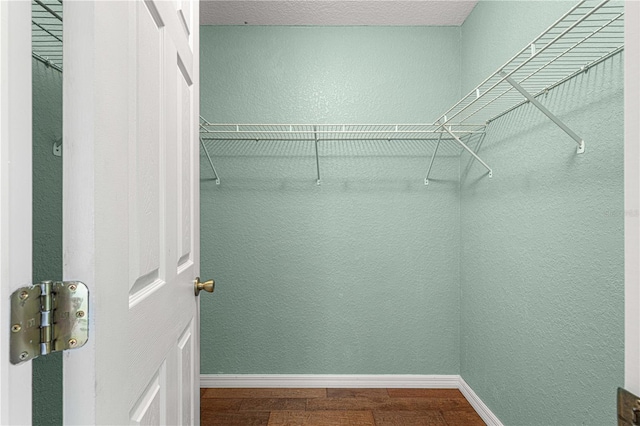 walk in closet featuring hardwood / wood-style floors