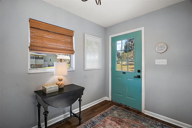 foyer entrance with dark wood-type flooring