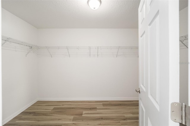 spacious closet with hardwood / wood-style floors