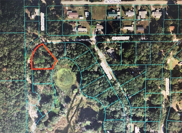 12851 SE 102nd Ct, Belleview FL, 34420 land for sale