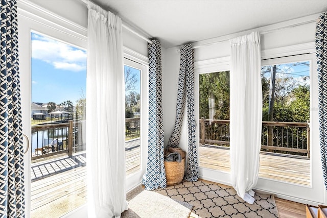 entryway featuring a water view and wood-type flooring