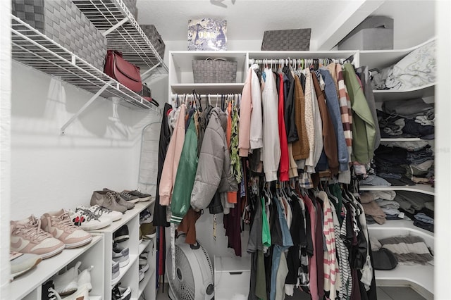 view of spacious closet