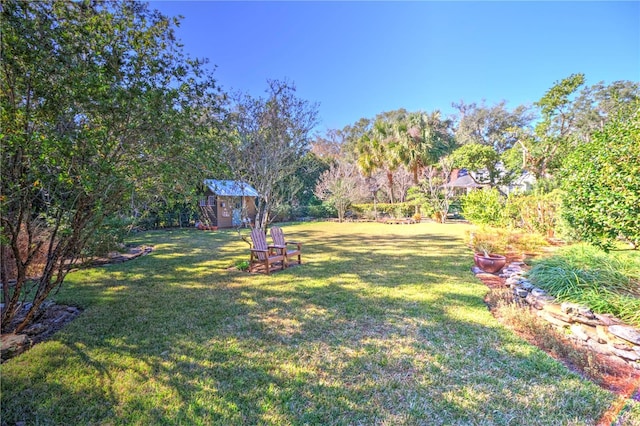 view of yard featuring a storage unit