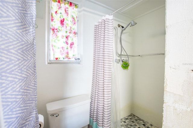 bathroom with toilet and a shower with curtain