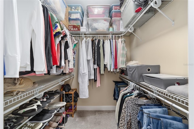 spacious closet featuring carpet floors