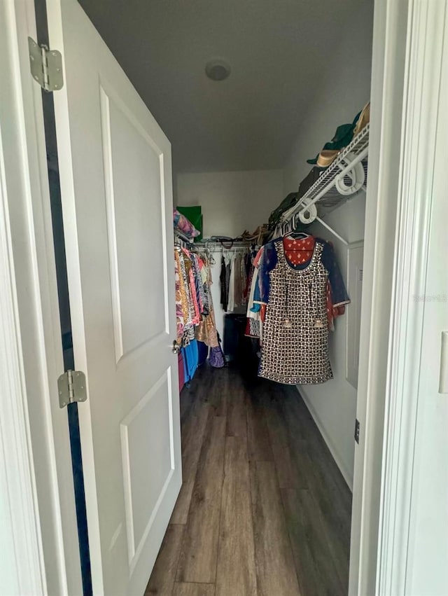 walk in closet featuring dark wood-type flooring