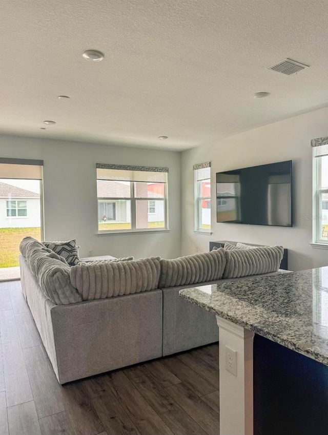 living room with a textured ceiling and dark hardwood / wood-style flooring