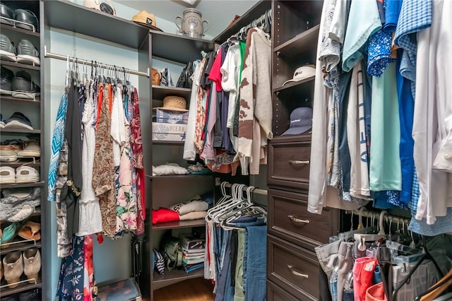 spacious closet featuring wood-type flooring