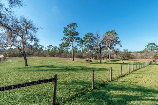 6850 SE 143rd Ct, Morriston, FL 32668 - photo 43