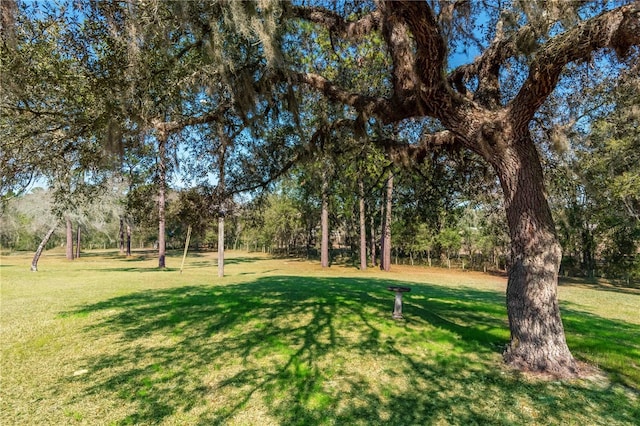 6850 SE 143rd Ct, Morriston, FL 32668 - photo 45